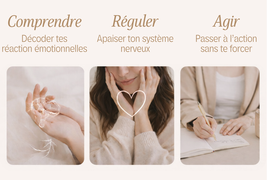 Les trois piliers de la méthode NeuroHarmonie by Am’s : comprendre, réguler et agir.